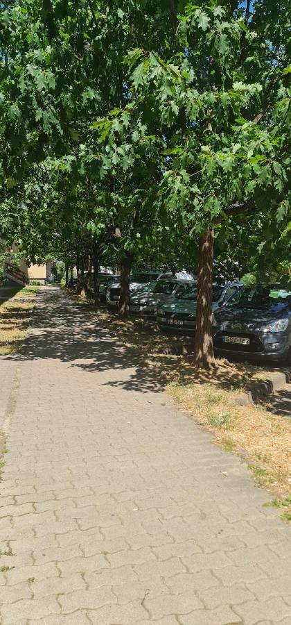 YBS Apartman Apartment Zalaegerszeg Bagian luar foto